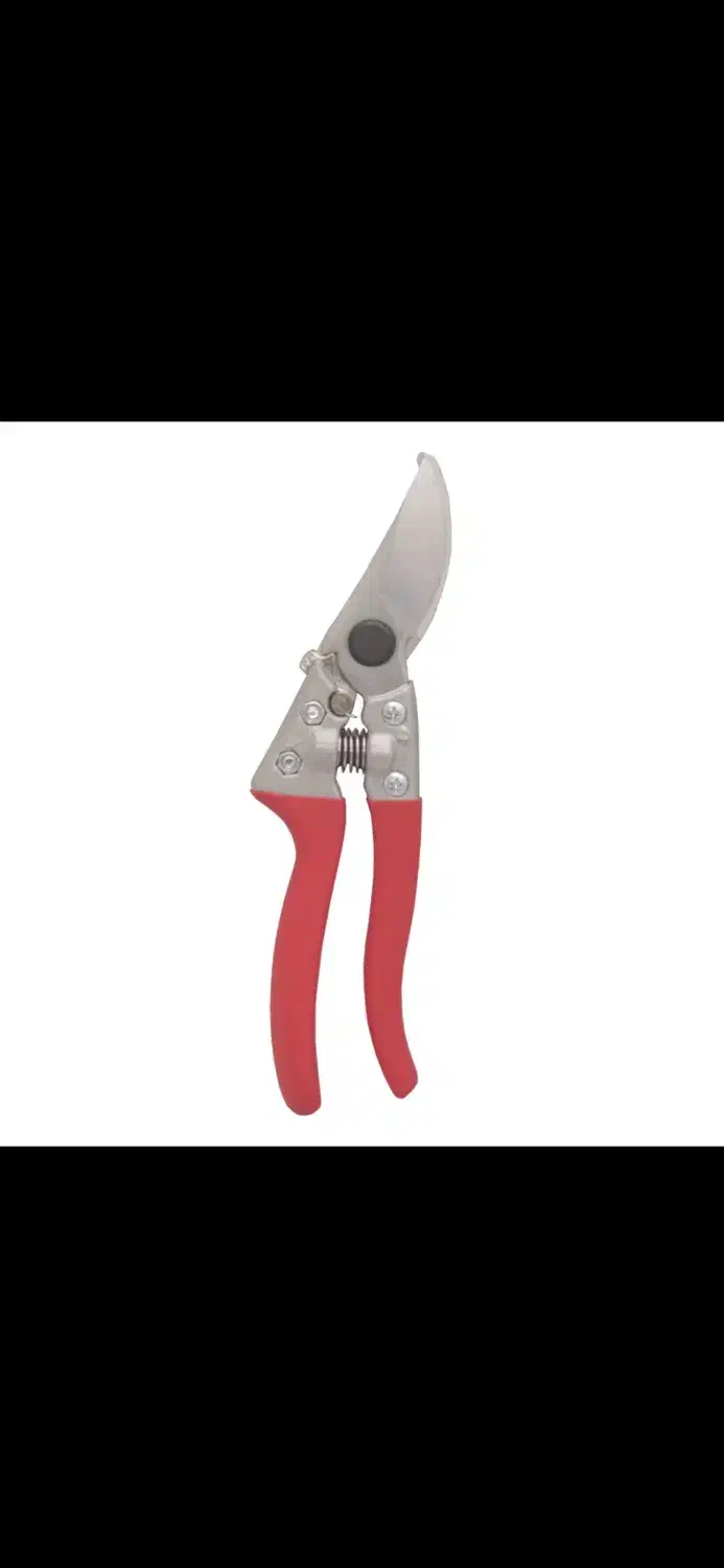 قیچی باغبانی داتیس|ابزارآلات|ساری, |دیوار