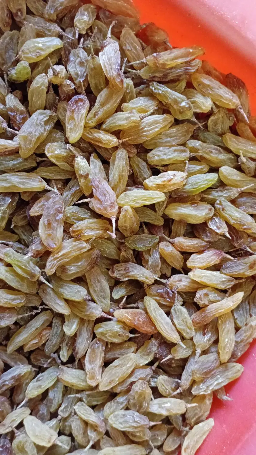 کشمش|خوردنی و آشامیدنی|زاوه, |دیوار