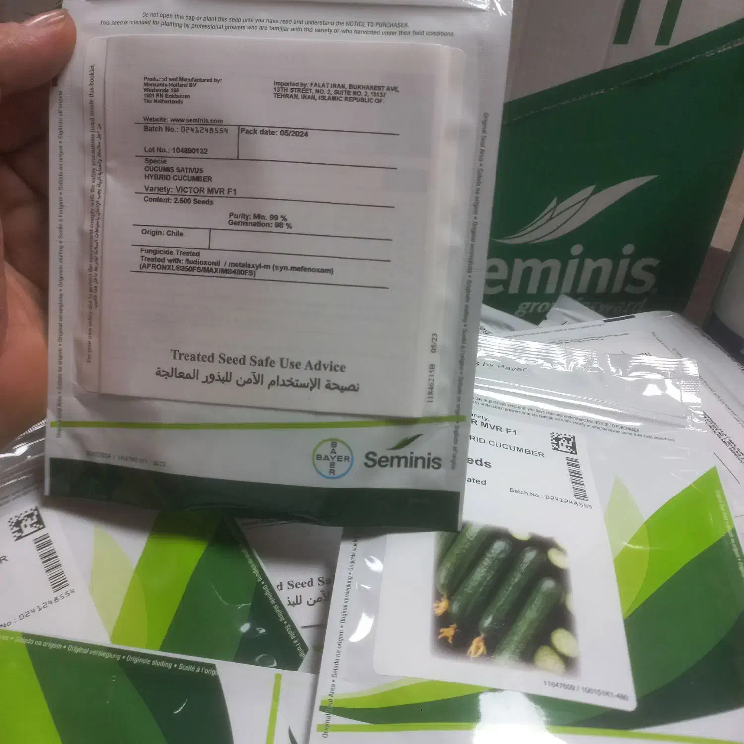 بذر خیار ویکتور|خدمات باغبانی و درختکاری|جویبار, |دیوار