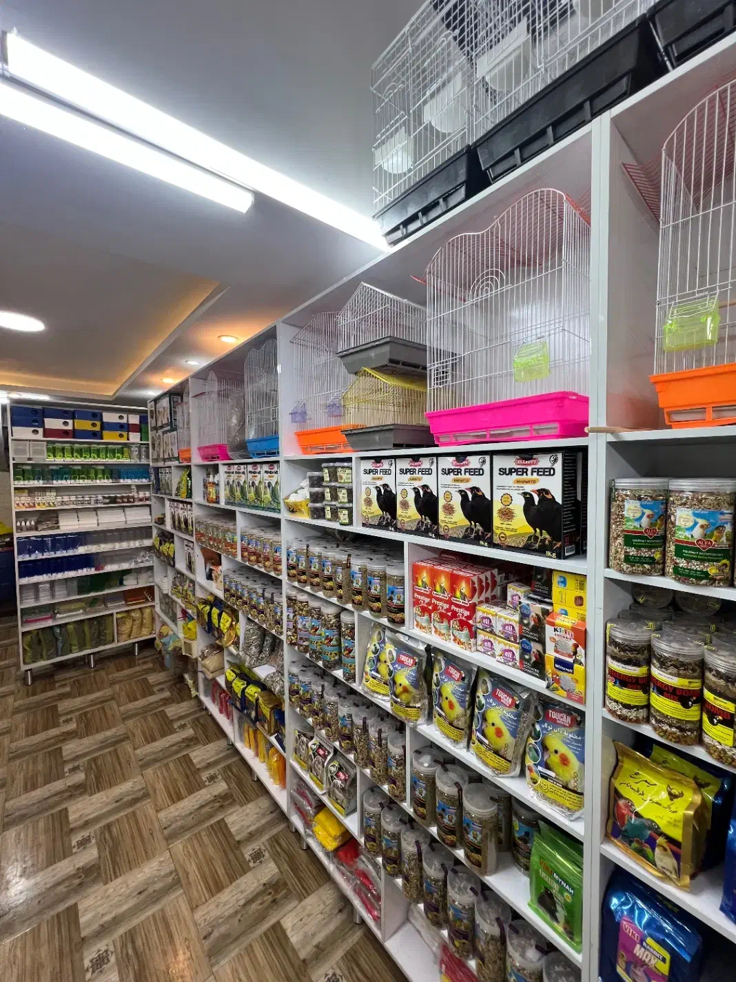 پت شاپ طوطی سانان (پرنده فروشی)|لوازم جانبی حیوانات|بابل, |دیوار