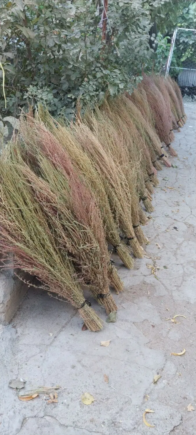 جارو|جاروبرقی، جارو شارژی، بخارشو|هرسین, |دیوار