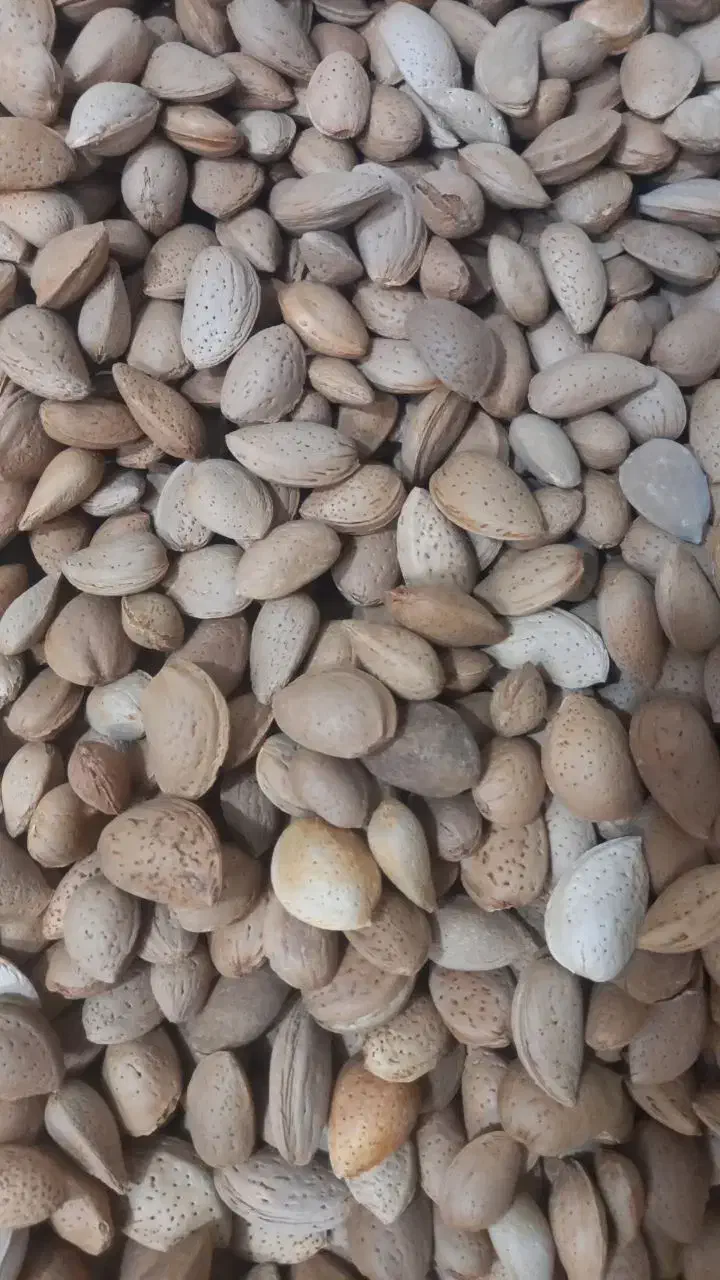 گردو بادام درجه یک|خوردنی و آشامیدنی|قم, منبع آب|دیوار