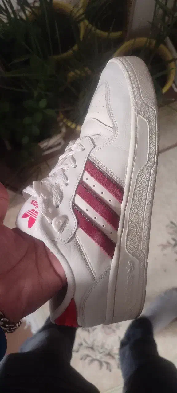 adidas Rivalry Low/red white|کیف، کفش، کمربند|ارومیه, |دیوار