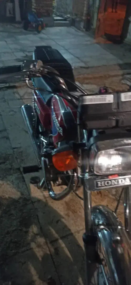 پرنده|پرنده|سوسنگرد, |دیوار