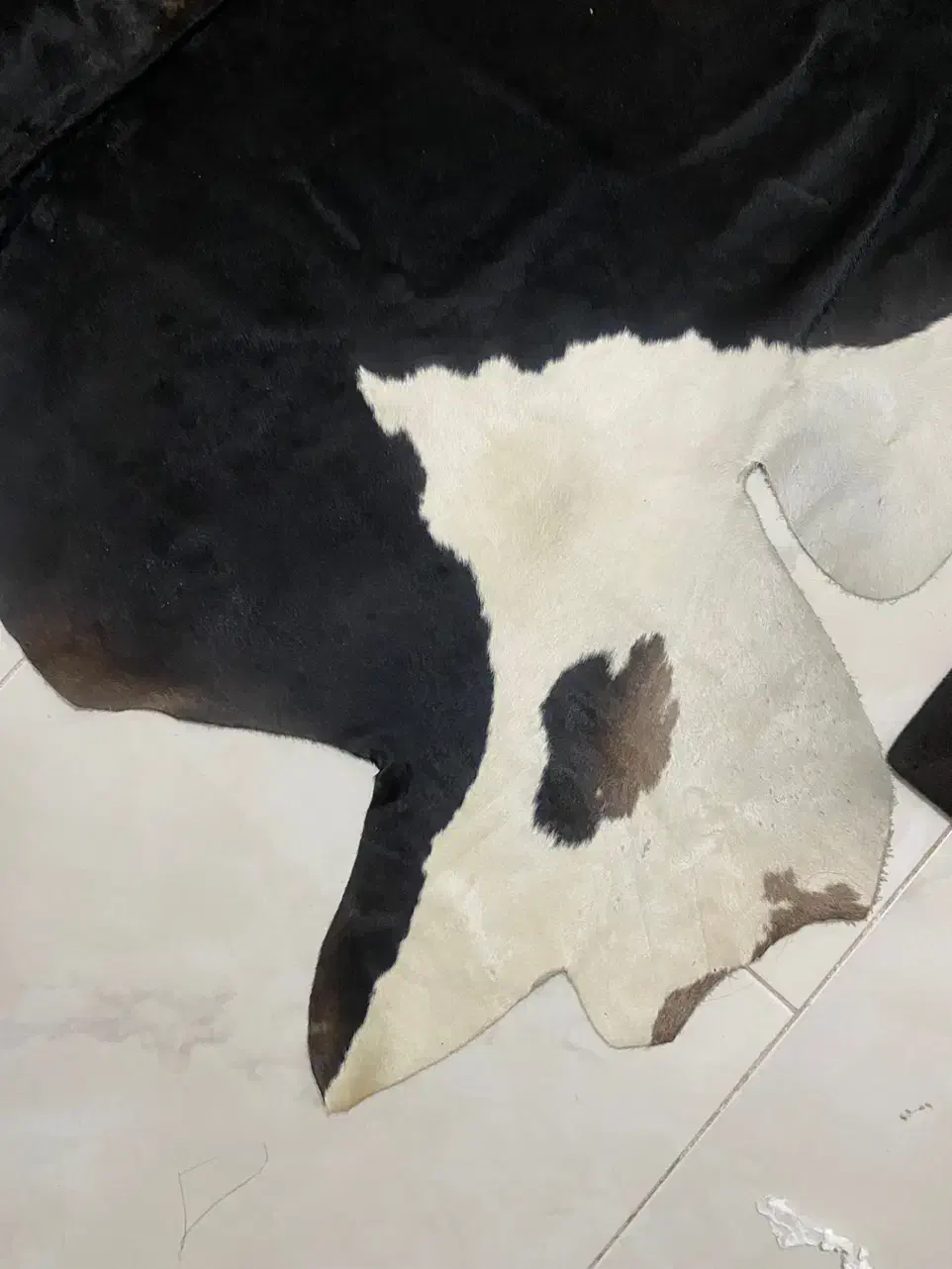 پوست گاو ترکمن نونو بدون ریزش مو فروش فوری|صنایع دستی و سایر لوازم تزئینی|کرج, گوهردشت|دیوار