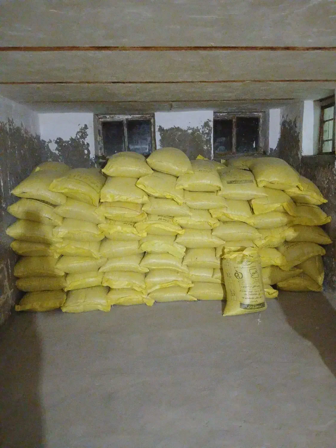 بهترین  و مرغوب ترین گندم دیم|عمدهفروشی|اشترینان, |دیوار