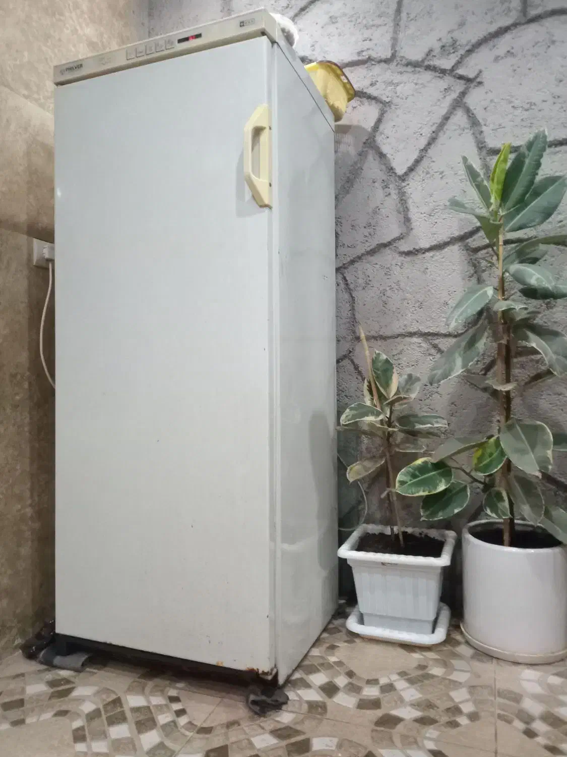 فریزر سالم|یخچال و فریزر|رشت, جماران|دیوار