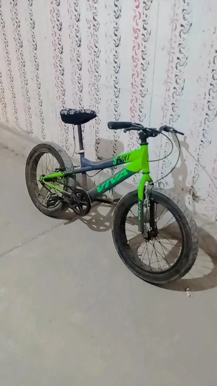 دوچرخه ویوا حرفه ایی کوهستانی|دوچرخه، اسکیت، اسکوتر|بندرعباس, |دیوار