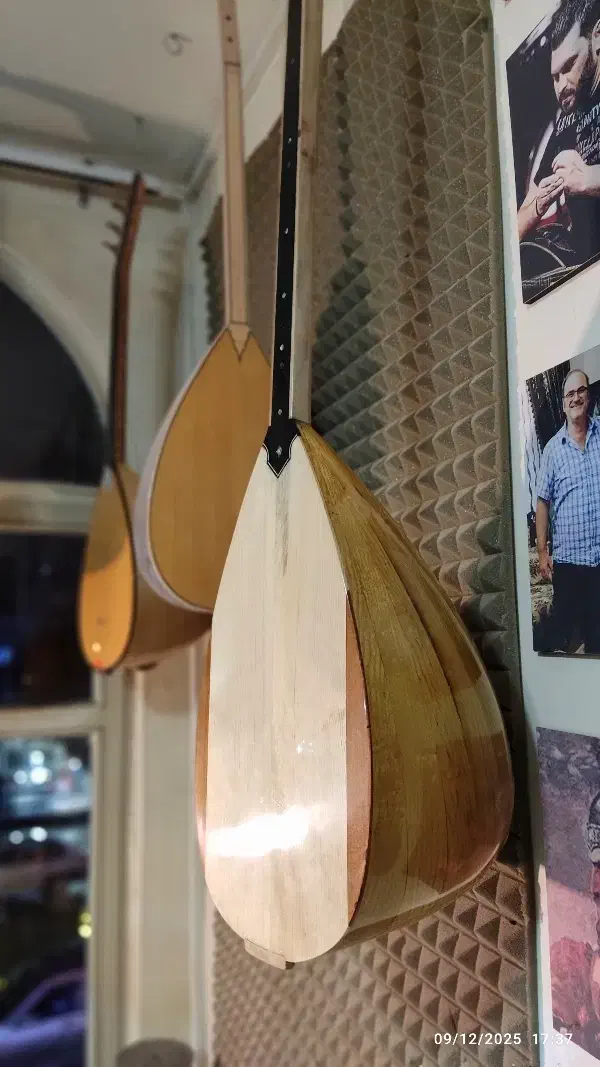 دسته بلند حرفه ای صدف دار|سازهای سنتی|تبریز, |دیوار