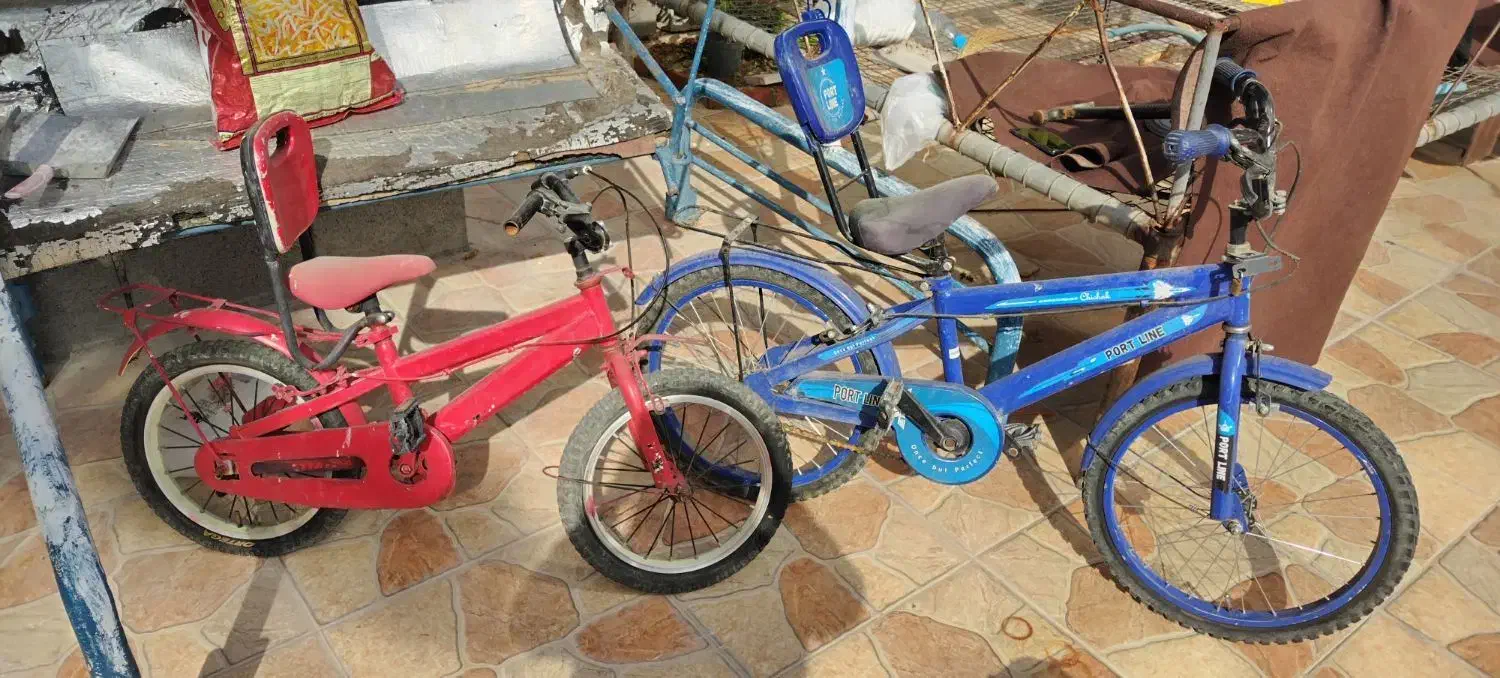 دوچرخه|دوچرخه، اسکیت، اسکوتر|دوگنبدان, |دیوار