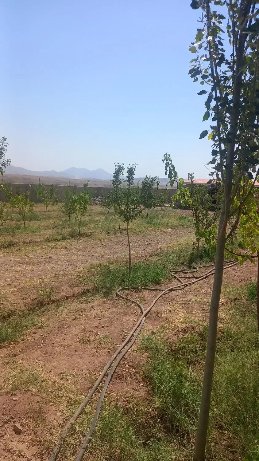 باغ با حصار کامل برق دار ۵۰۰متر|فروش زمین و ملک کلنگی|صوفیان, |دیوار