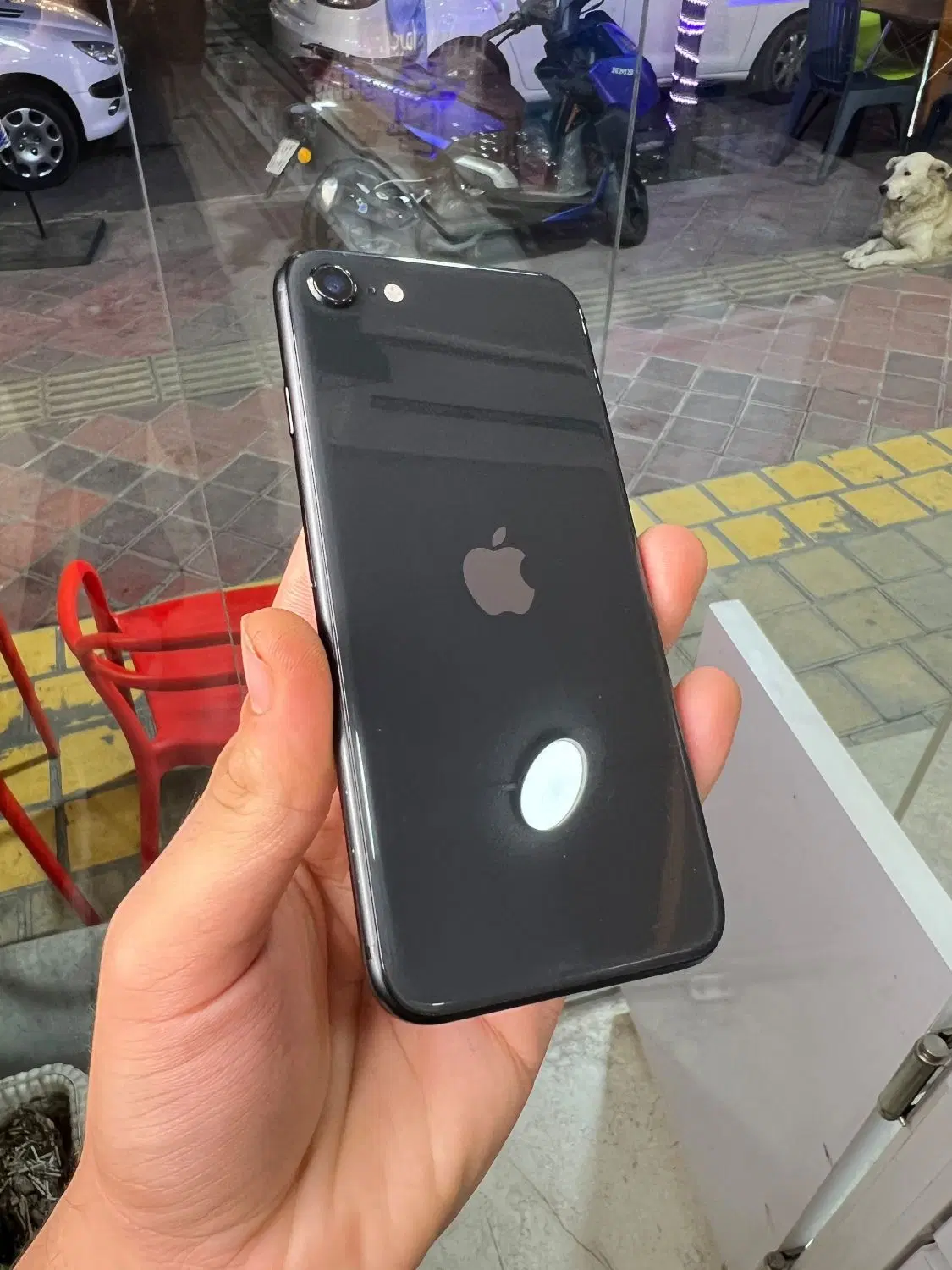 iphone se 2020|موبایل|کلارآباد, |دیوار