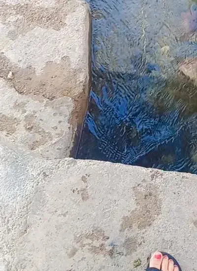 دنبال خونه اجاره ای هستم|فعالیت داوطلبانه|تفت, |دیوار