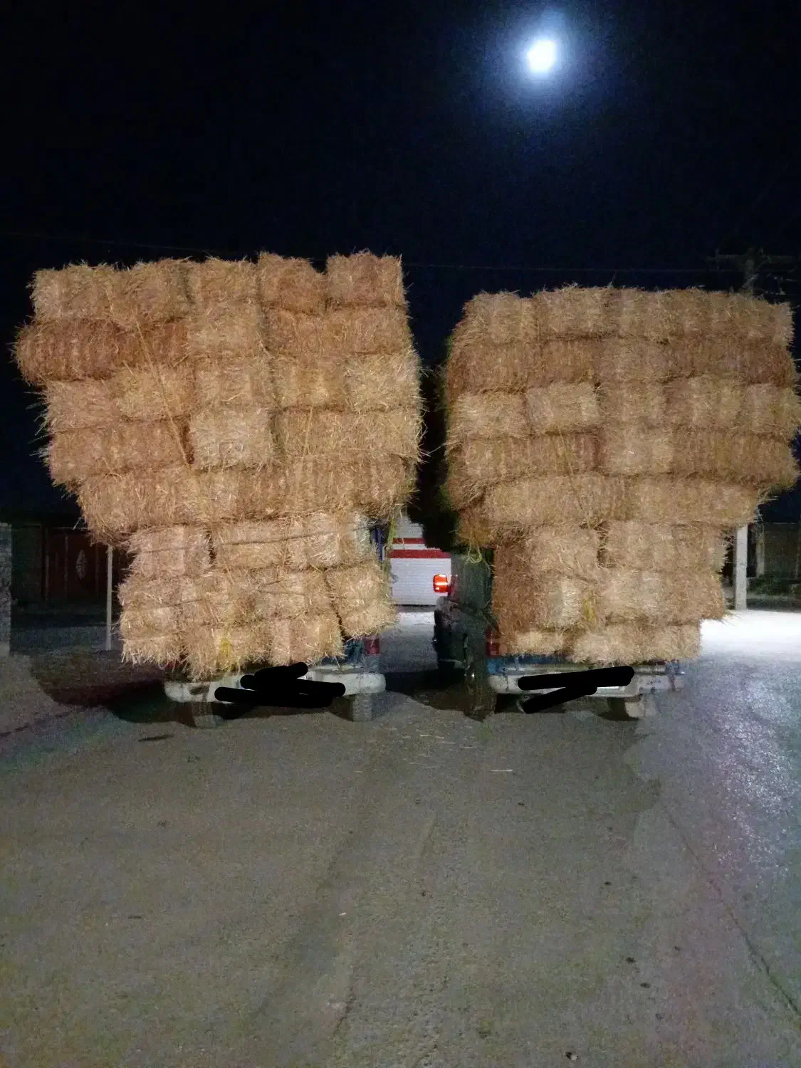 پرس گندم شمال|عمده‌فروشی|آبکوه, |دیوار