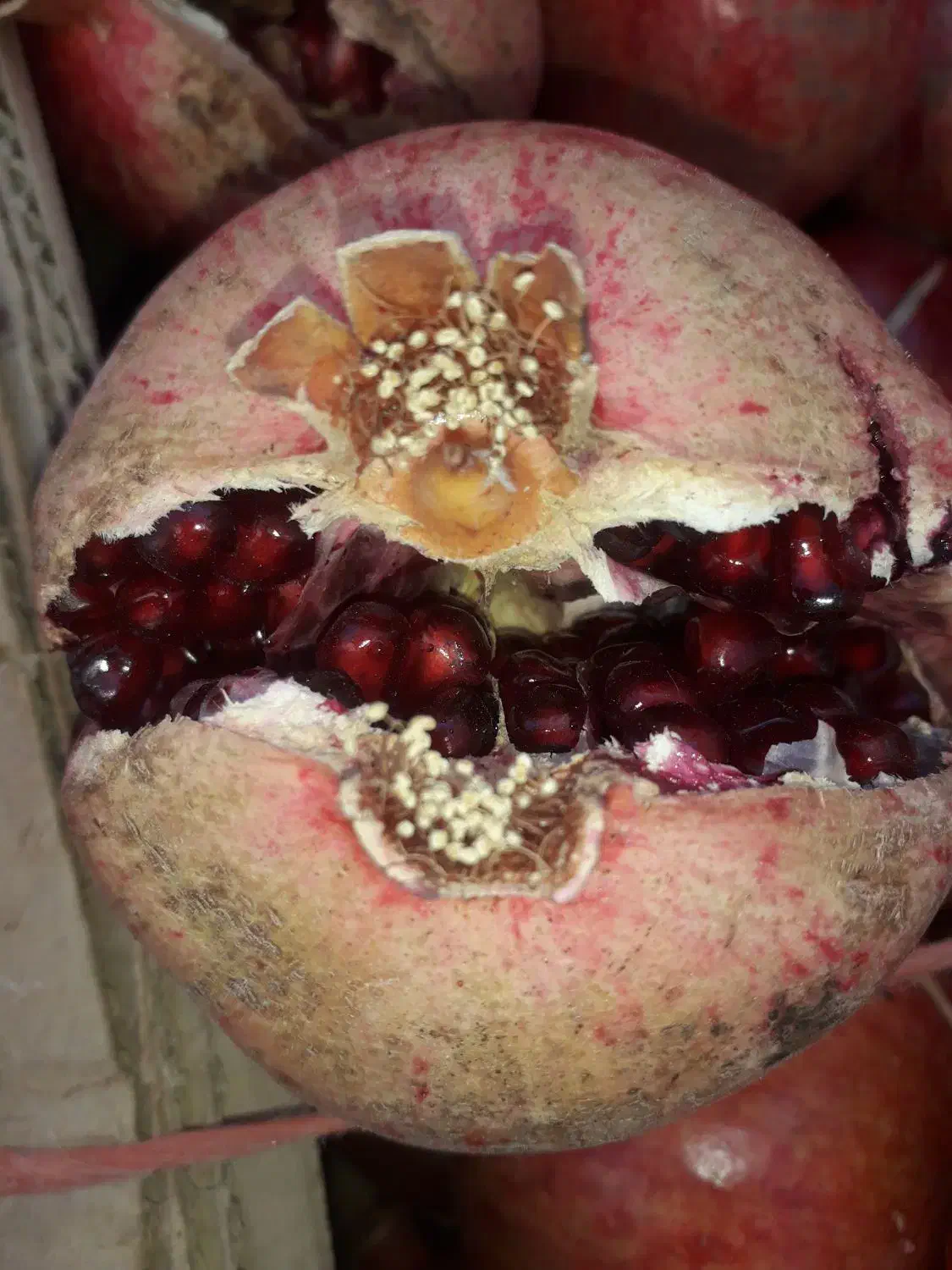 انار دون قرمز آبدار ساوه بصورت عمده|حراج|ساوه, |دیوار