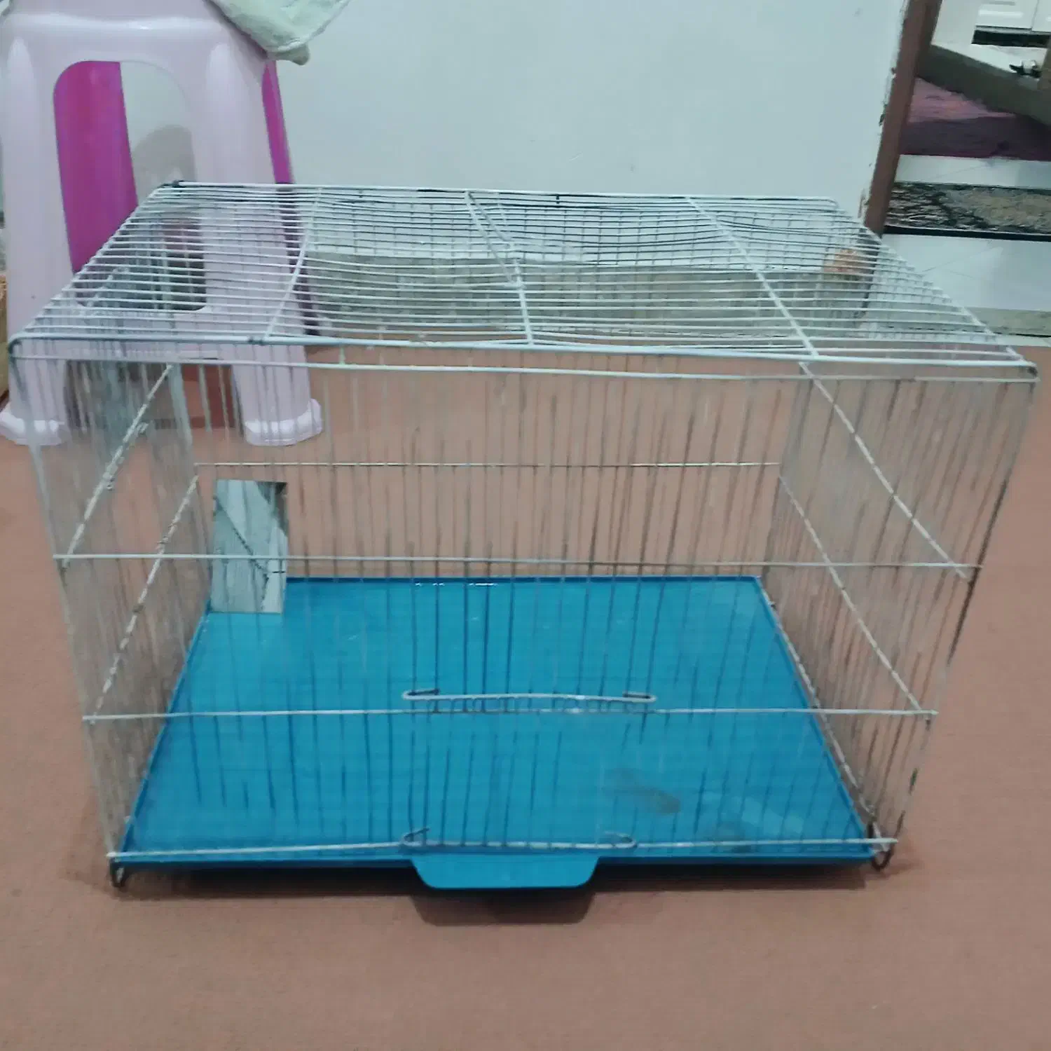 دوعددقفس باوسایل معاوضه باکواریوم ووسایل اکواریوم|لوازم جانبی حیوانات|پاکدشت, پاکدشت (مامازند)|دیوار