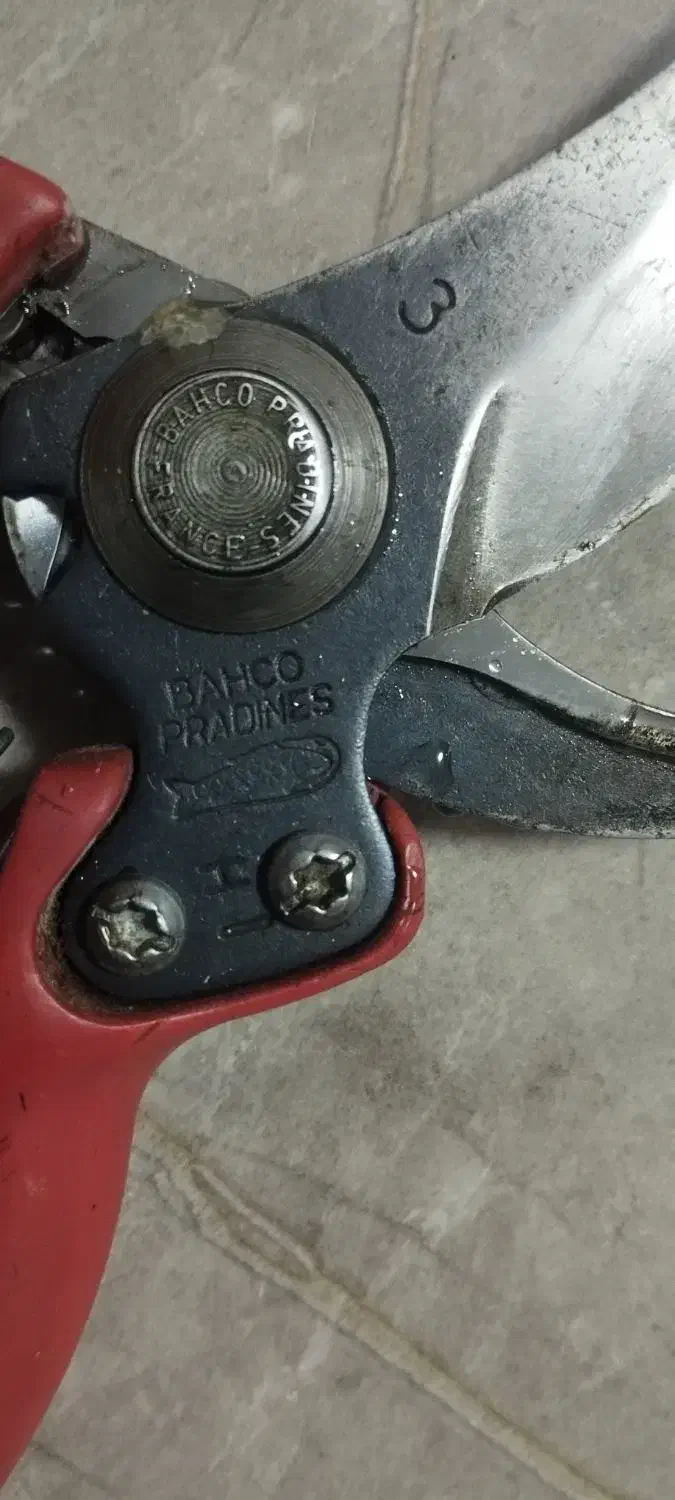 فرا.نسه|اسباب‌‌بازی|مراغه, |دیوار