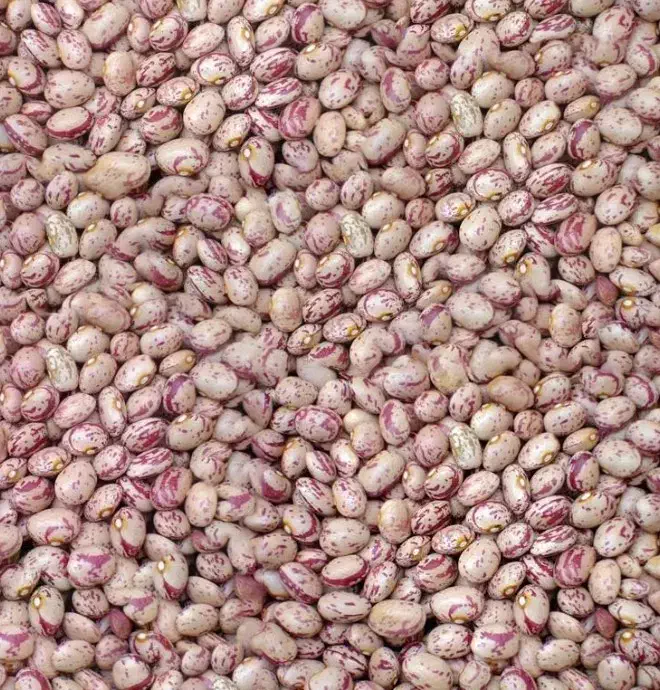 لوبیا چیتی دیواندره|خوردنی و آشامیدنی|دیواندره, |دیوار