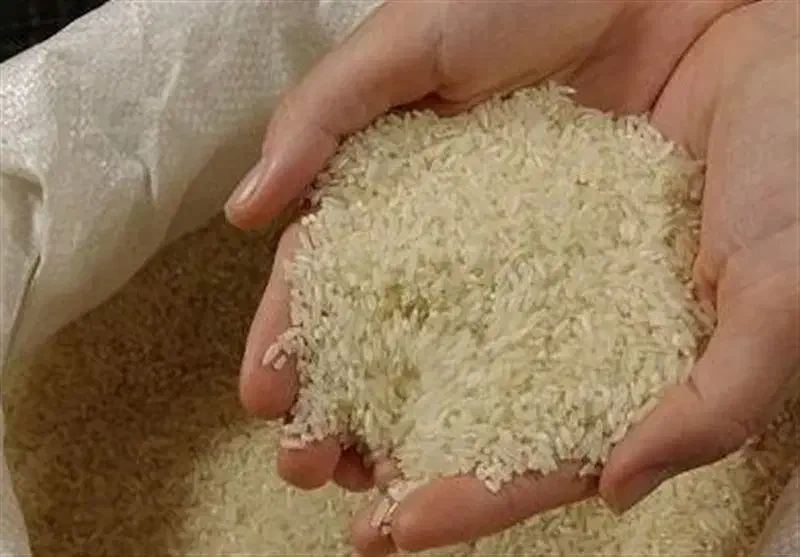 برنج بومی لنجان درجه یک|خوردنی و آشامیدنی|فولادشهر, B4|دیوار