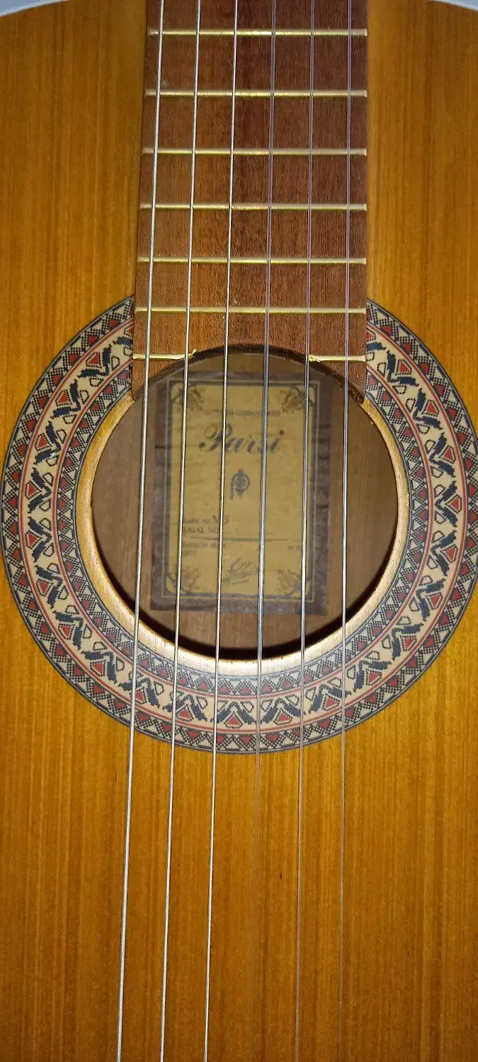 گیتار m5همراه کیف و کاپو|گیتار، بیس، امپلیفایر|آبیک, |دیوار