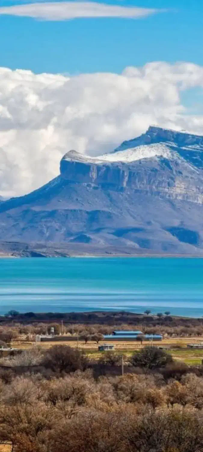 دامداری رهن و اجاره|اجارهٔ دفتر صنعتی، کشاورزی، تجاری|کامفیروز, |دیوار