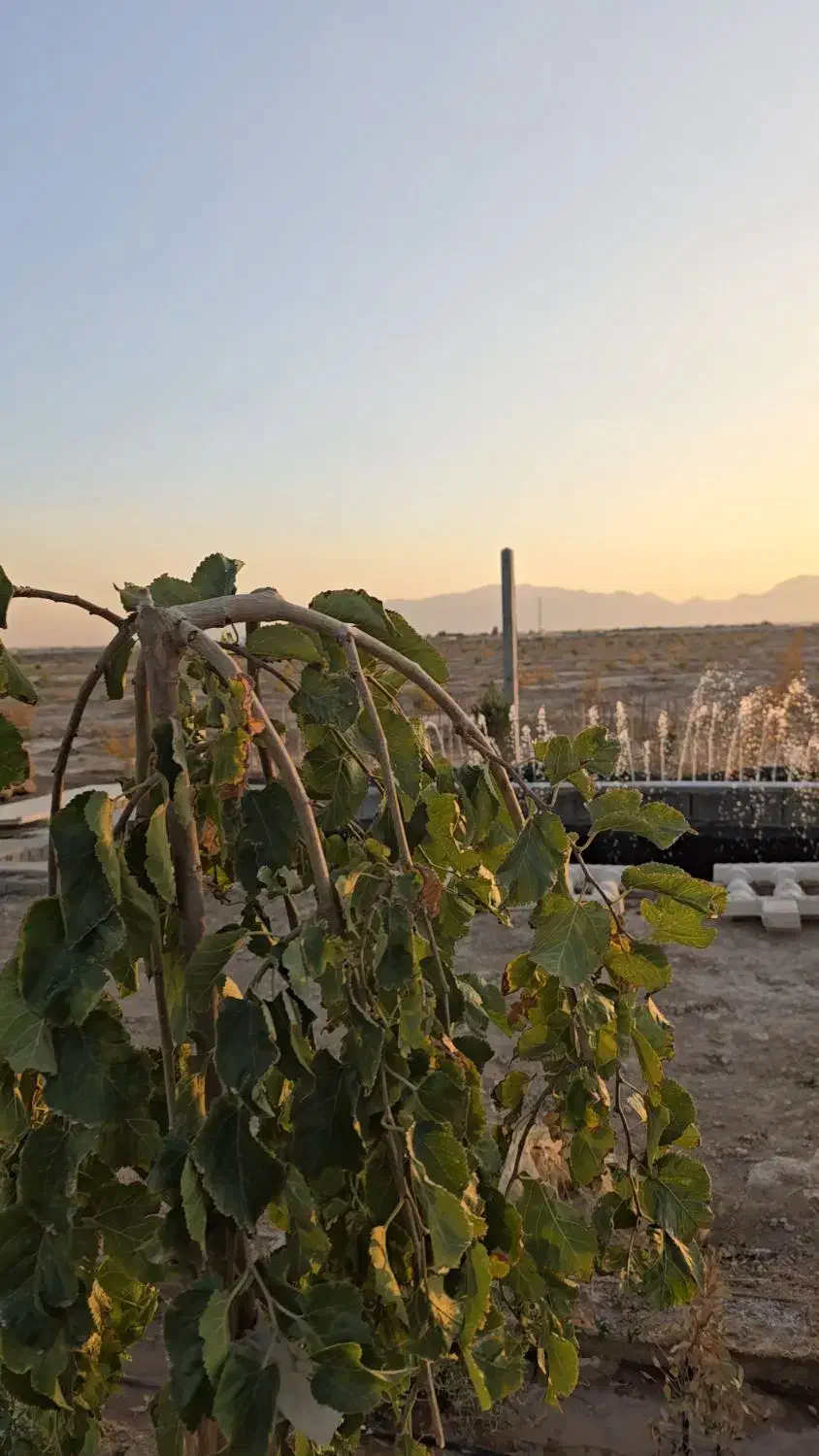 سرمایه گذاری اقساطی در شاهین شهر|فروش زمین و ملک کلنگی|شاهین‌شهر, شهرک میلاد|دیوار