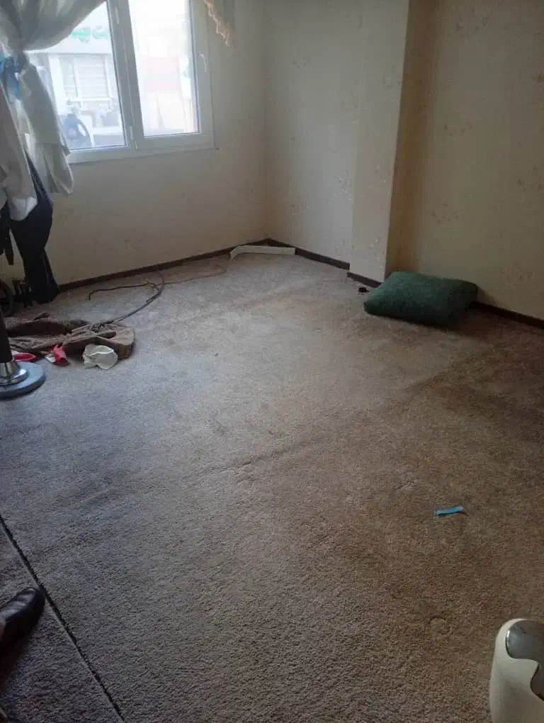 موکت پالاز کل واحد یکجا|موکت|تهران, فاطمی|دیوار