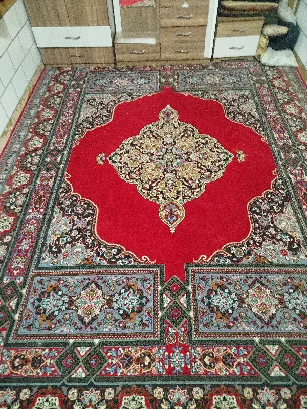 قالی فرش|فرش|کازرون, |دیوار