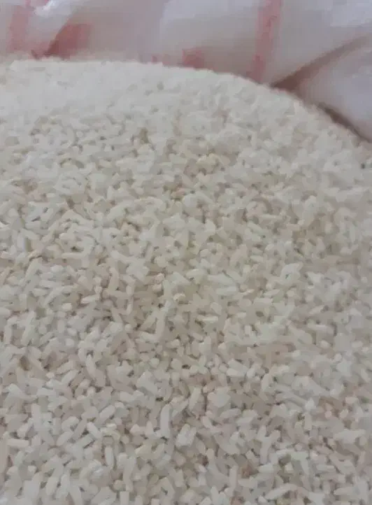 برنج نیم دانه و سالم هاشمی درجه یک|خوردنی و آشامیدنی|تاکستان, |دیوار