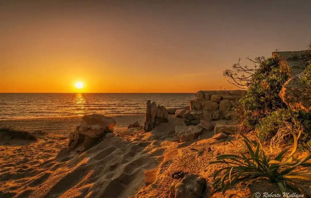 گروهای اگهی دیوار امارات می خواهم|فعالیت داوطلبانه|بوشهر, |دیوار