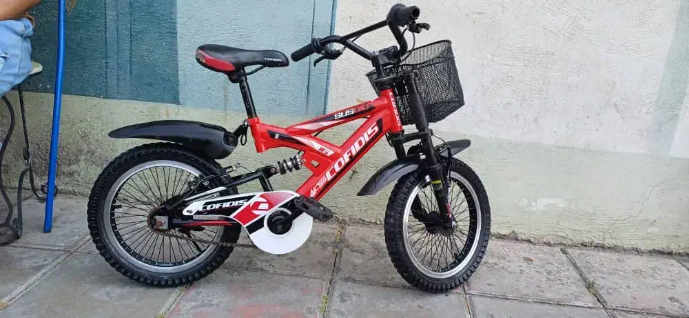 دوچرخه ۱۶ کافیدیس پسرانه همراه کمکی|دوچرخه، اسکیت، اسکوتر|اسلامشهر, شهرک انبیا|دیوار