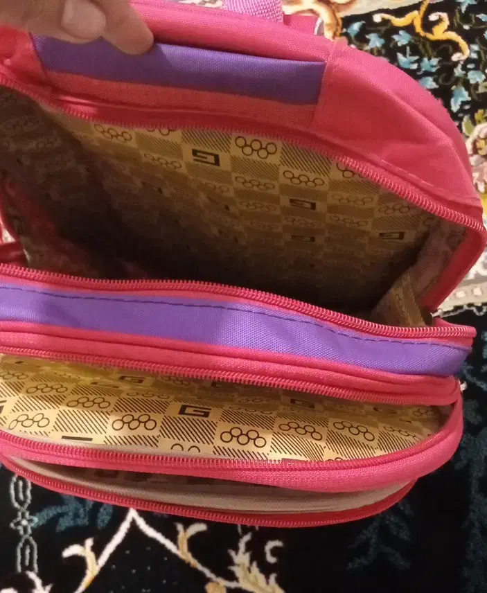 کوله پشتی|کیف، کفش، کمربند|گرگان, |دیوار