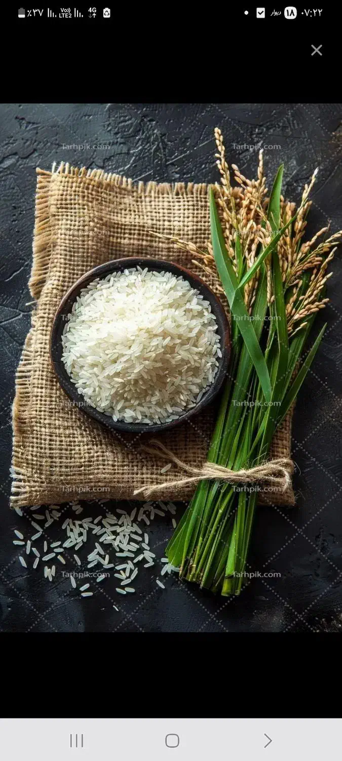 برنج هاشمی|خوردنی و آشامیدنی|تهران, شهرک ولیعصر جنوبی|دیوار