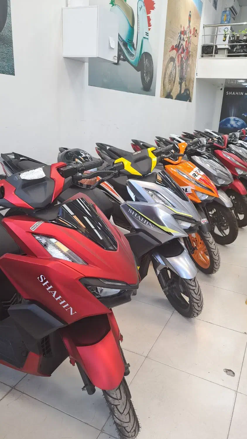 نمایندگی شاهین موتور|موتورسیکلت|مرودشت, ژیان|دیوار