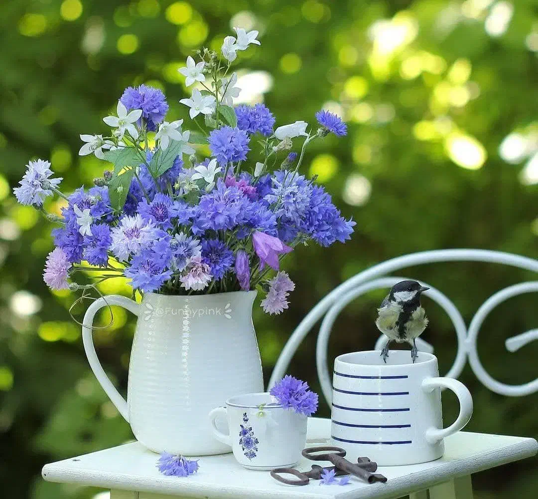 نظافت مجتمع مسکونی|خدمات نظافت|اراک, |دیوار