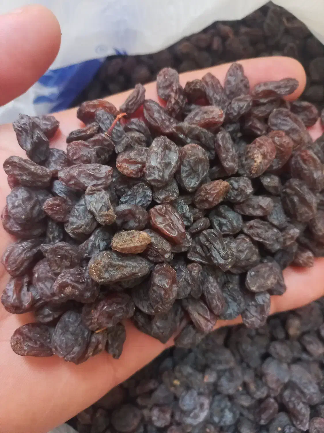 کشمش تاکستان|خوردنی و آشامیدنی|تاکستان, |دیوار