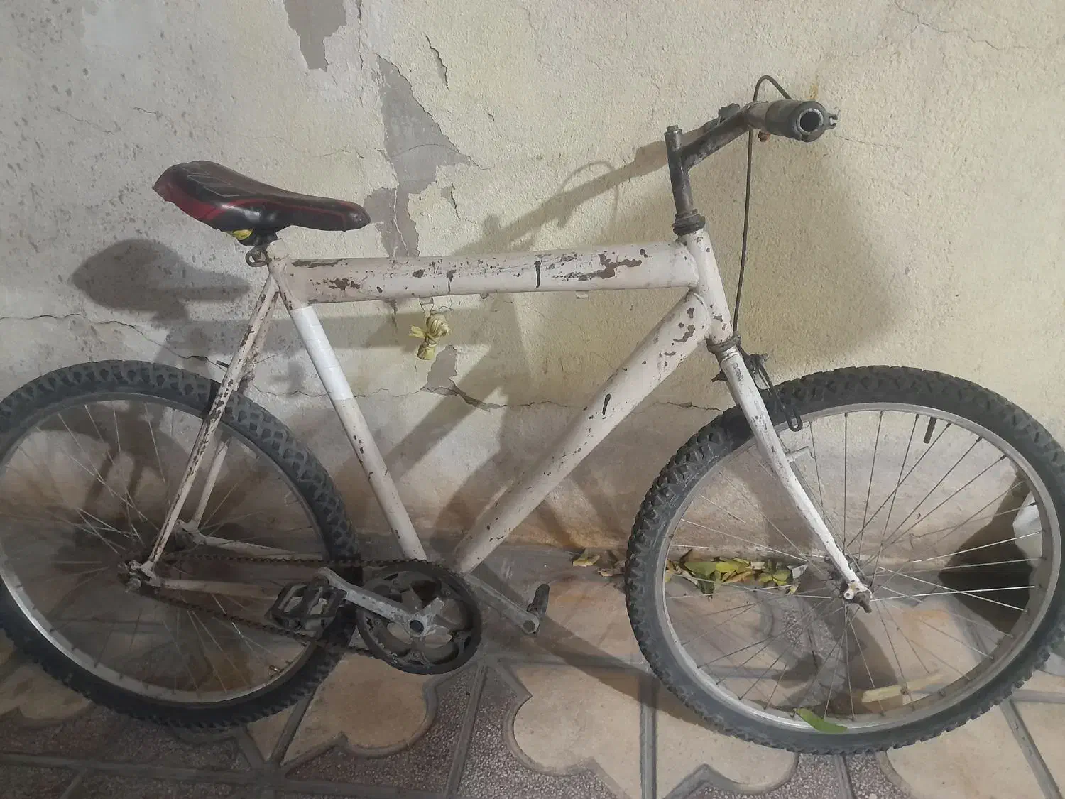 دوچرخه ۲۶|دوچرخه، اسکیت، اسکوتر|شیراز, لب آب|دیوار