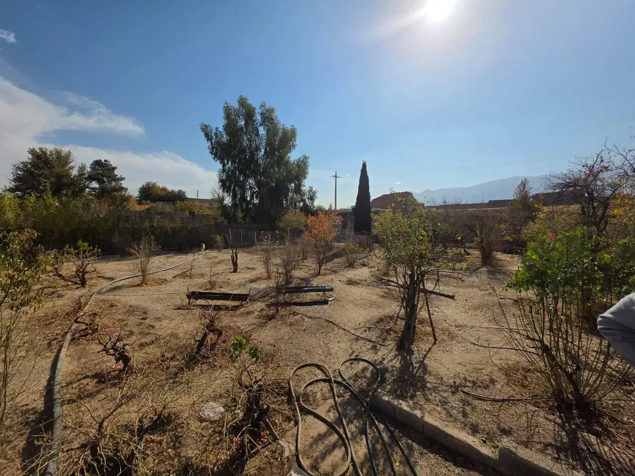 باغ انجیره|فروش دفتر صنعتی، کشاورزی، تجاری|شیراز, انجیره|دیوار