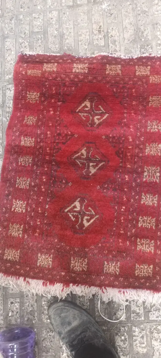 قالیچه کردی|گلیم، جاجیم، گبه|قرچک, باقرآباد|دیوار