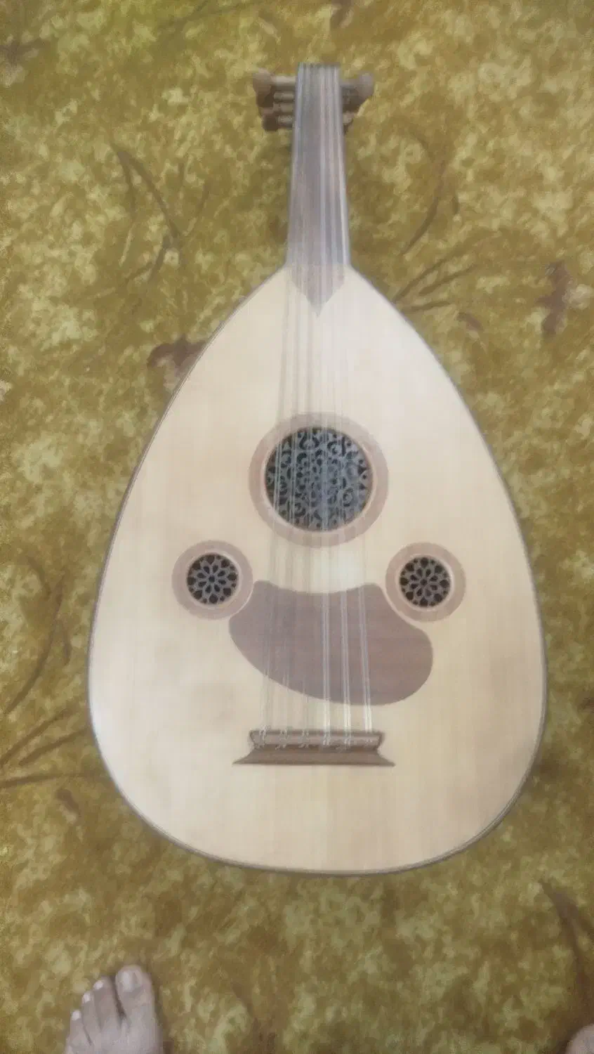 عود|سازهای سنتی|میناب, |دیوار