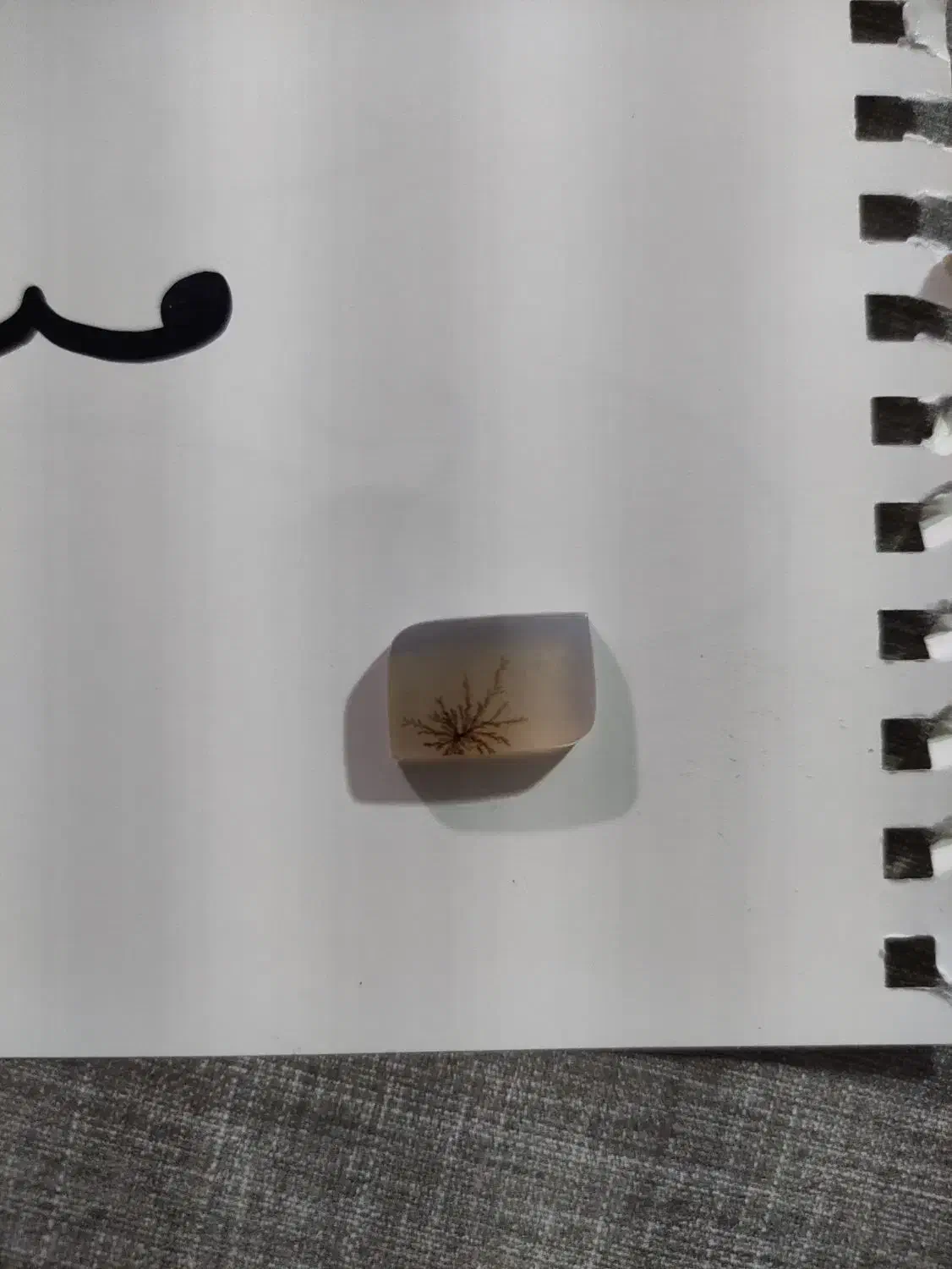 سنگ شجر|جواهرات|سنندج, |دیوار