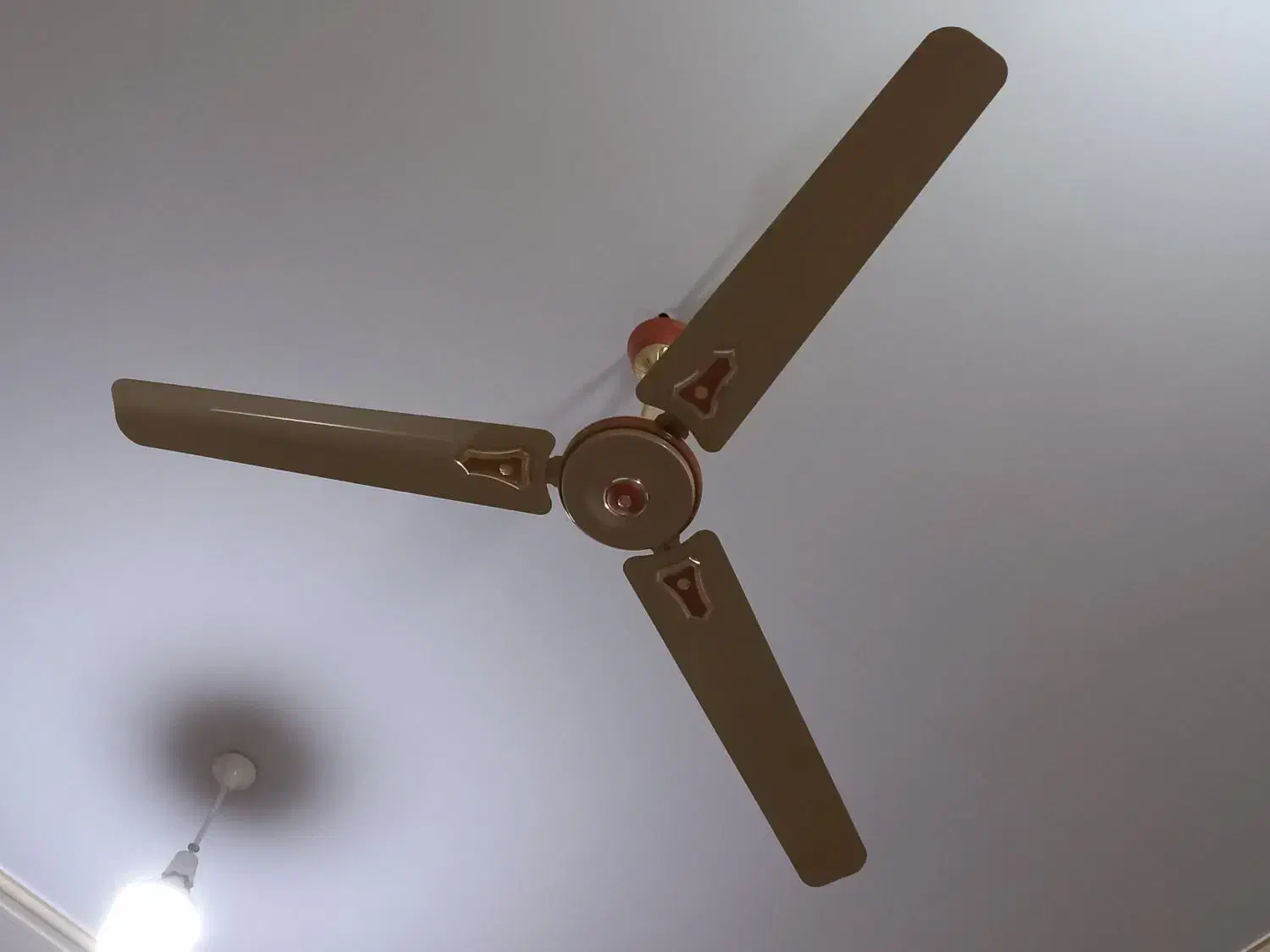 پنکه نو|پنکه و تصفیه‌کنندهٔ هوا|اهواز, زندوکیلی|دیوار