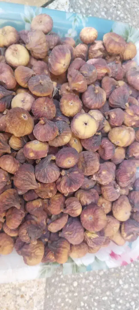 انجیر سیاه بش وارگانیک‌محصول امسال|خوردنی و آشامیدنی|شیراز, گلشن|دیوار