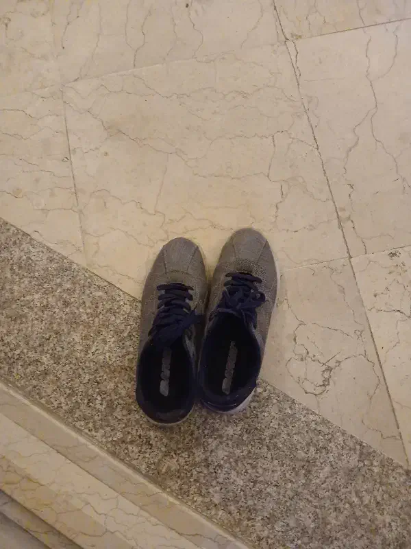 کفش اسپورت طرح لی|کیف، کفش، کمربند|یزد, |دیوار