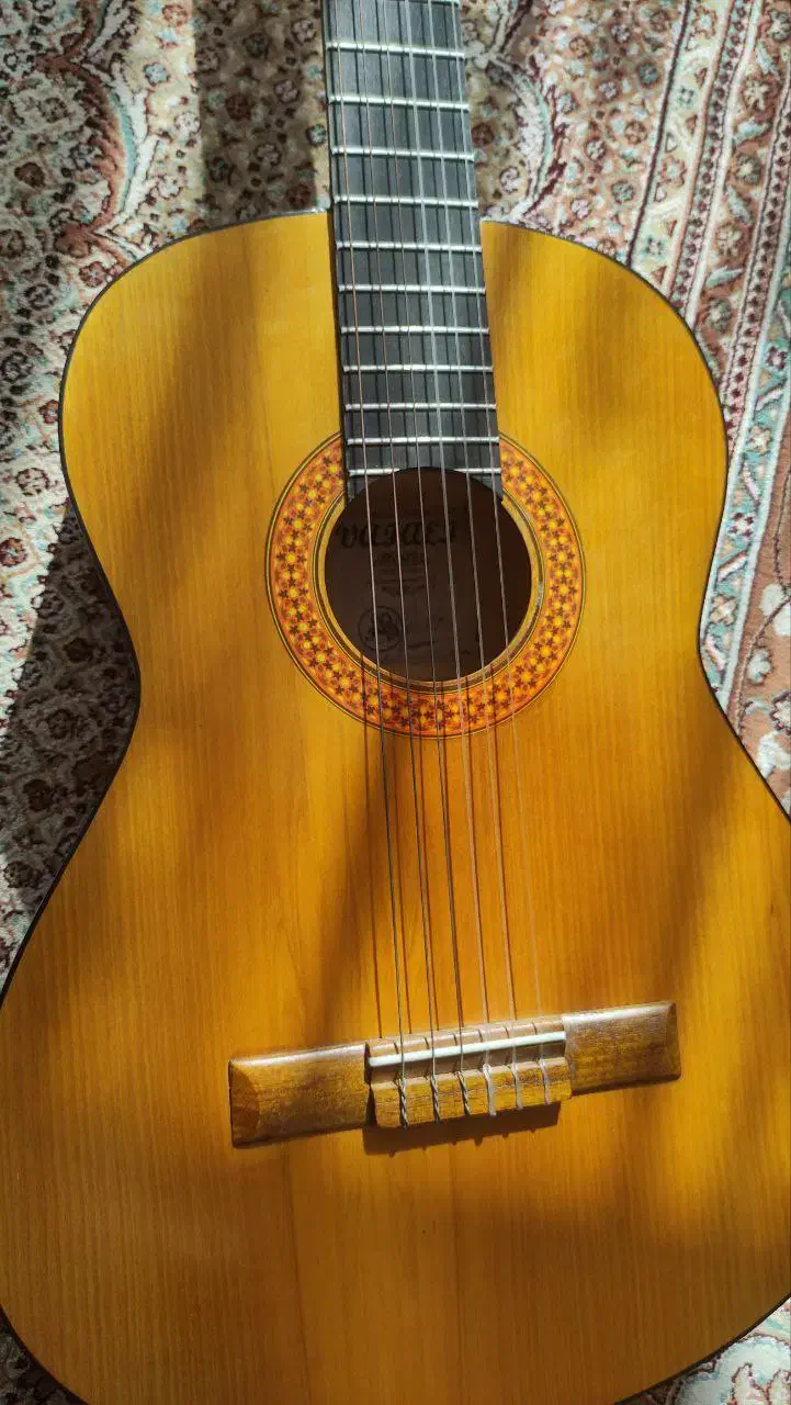 گیتار وفایی Mv3|گیتار، بیس، امپلیفایر|اصفهان, هزارجریب|دیوار