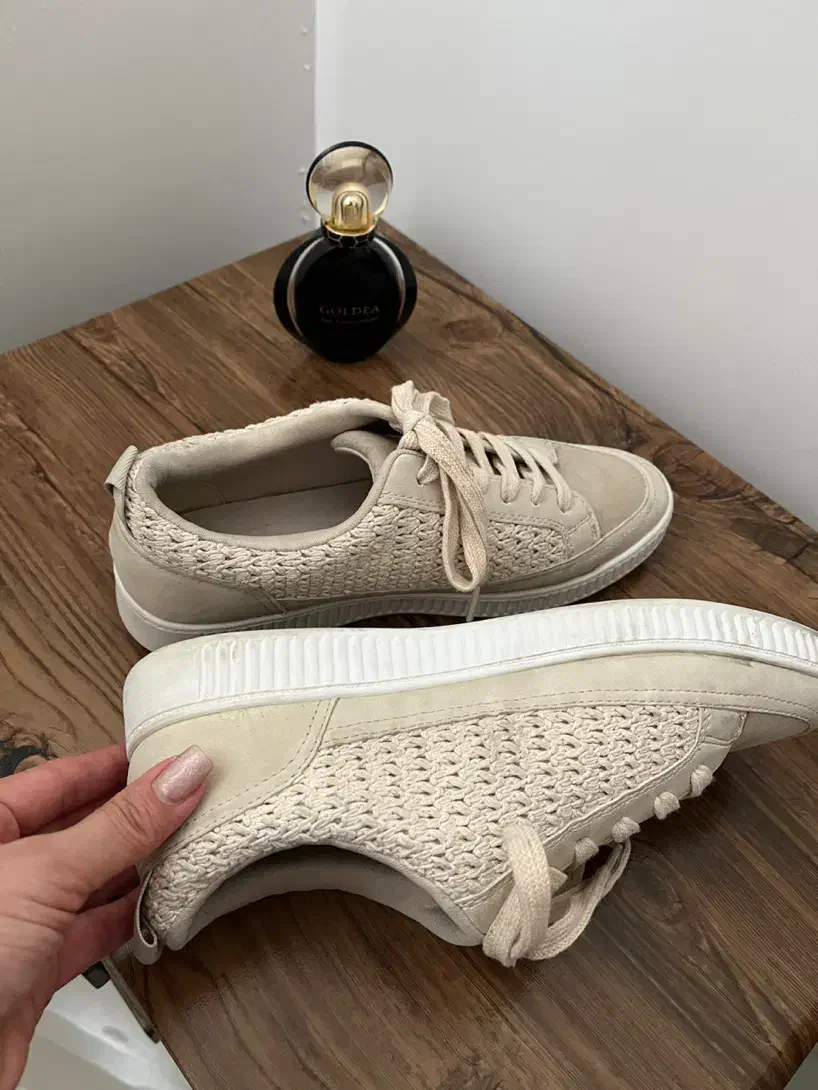 کفش خارجی|کیف، کفش، کمربند|مشهد, دانشجو|دیوار