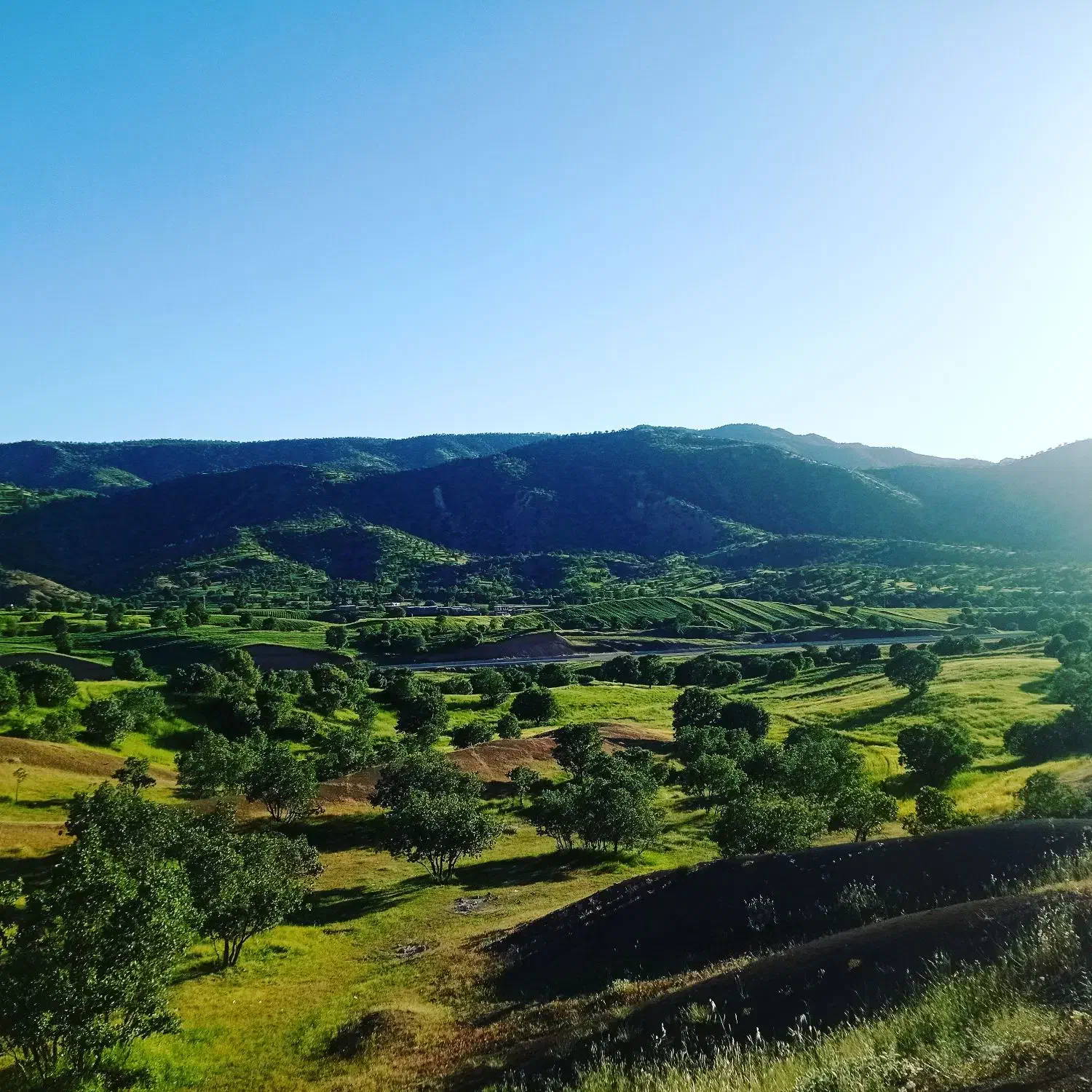 فروش‌کود‌حیوانی‌با‌نیسان|خدمات باغبانی و درختکاری|کوهدشت, |دیوار