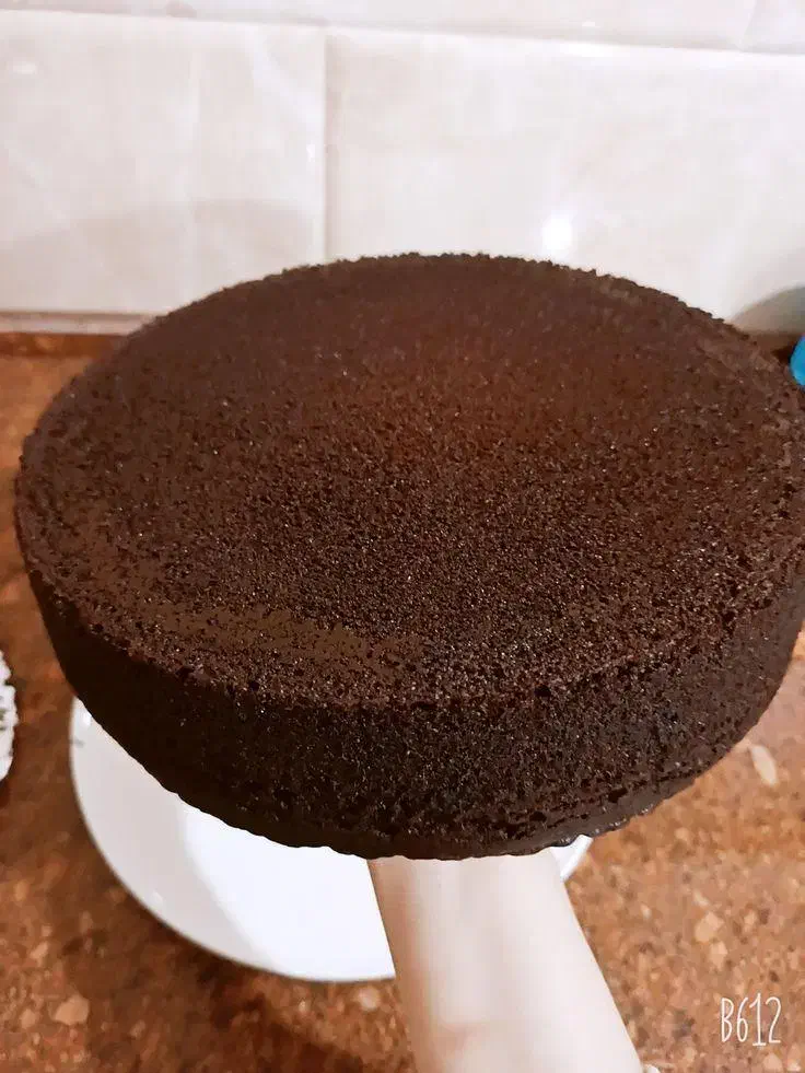 کیک کافیشاپی ها|خوردنی و آشامیدنی|رشت, سیا اسطلخ|دیوار