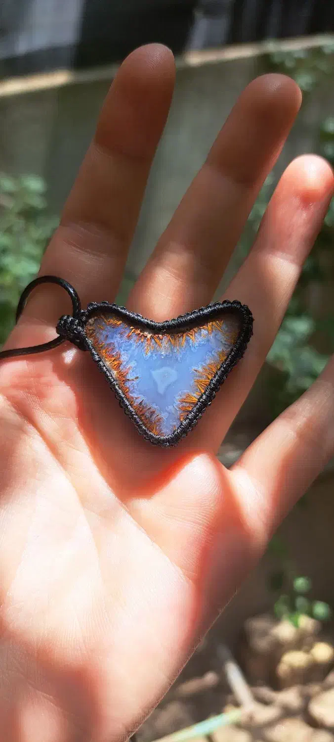 شجر|کلکسیون اشیاء عتیقه|قم, انصارالحسین|دیوار