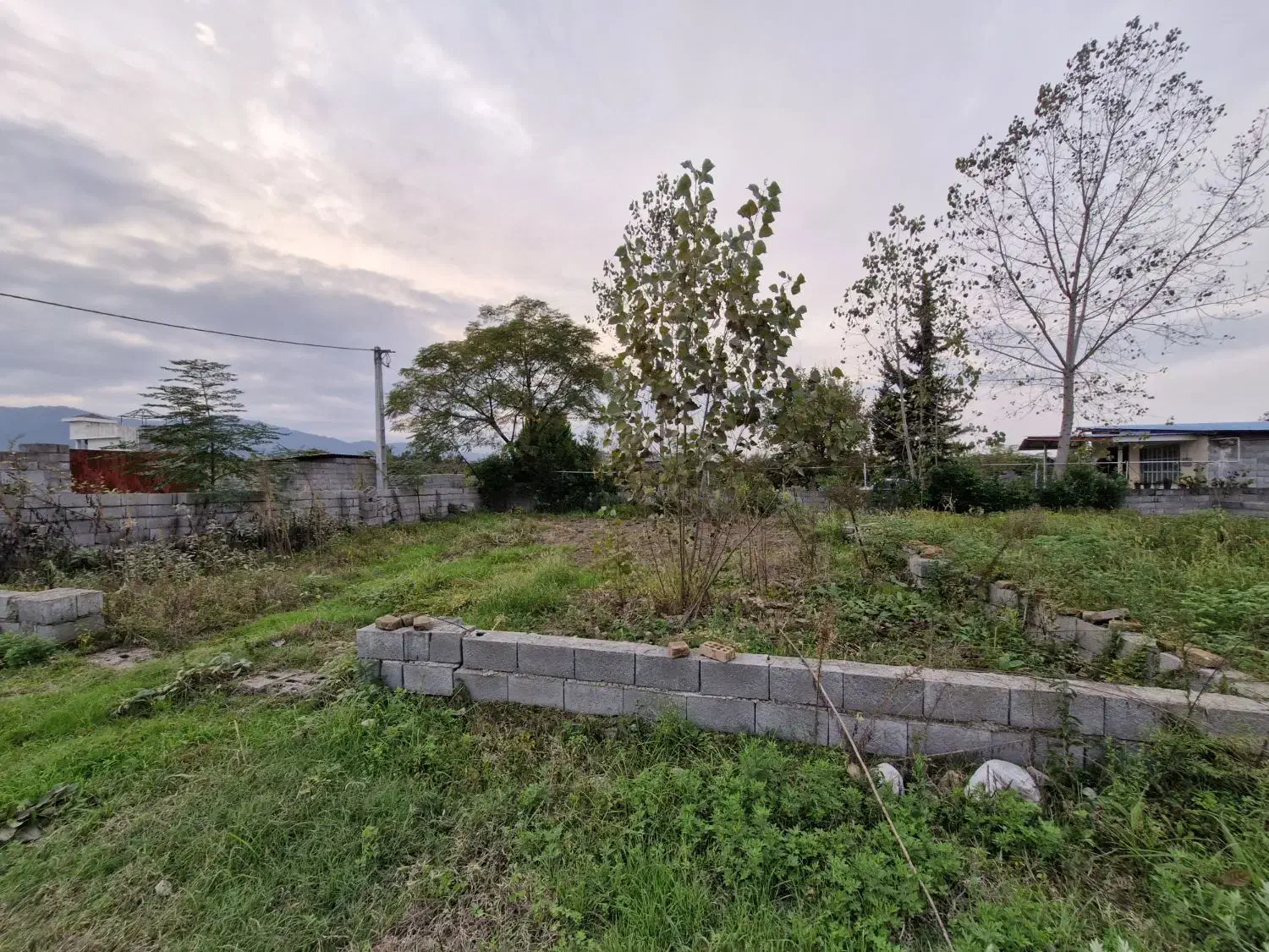 فروش زمین مسکونی ۲۲۵ متر خوش قواره|فروش زمین و ملک کلنگی|نشتارود, |دیوار